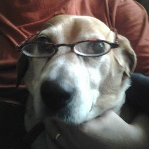 Meet your Posher, Charlene